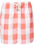Solid & Striped Checked Swim Shorts