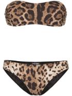 Dolce & Gabbana Leopard Print Bandeau Bikini - Black
