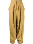 Alberta Ferretti Palazzo Trousers - Yellow