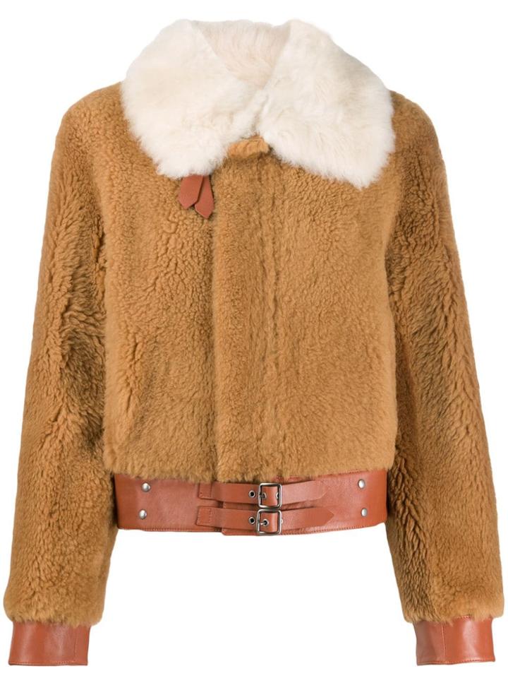 Coach Buckled Shearling Jacket - Brown