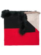 Max & Moi Mink And Fox Fur Trim Scarf - Black