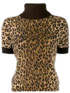 Dolce & Gabbana Pre-owned Cashmere Leopard Print Knit Top - Brown