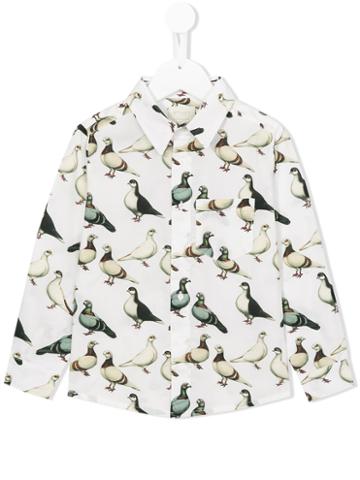 Etiket Pigeon Print Shirt, Boy's, Size: 8 Yrs, White
