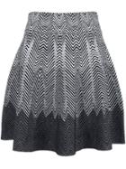 Opening Ceremony Degradé Skirt