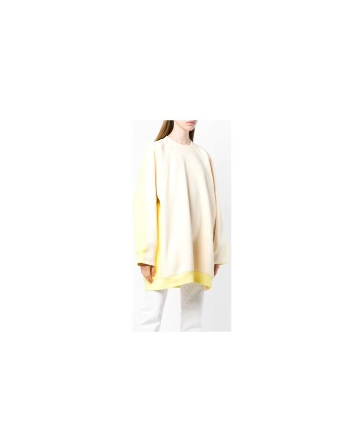 Fashion Concierge Vip Celine Oversized Sweatshirt - Unavailable