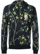Dolce & Gabbana Bird Print Hoodie, Men's, Size: 54, Black, Cotton