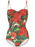 Dolce & Gabbana Portofino Print One-piece Swimsuit - Red