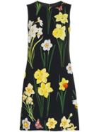 Dolce & Gabbana Floral-printed Silk-blend Dress - Black