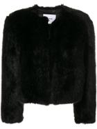 Dondup Faux-fur Cropped Jacket - Black