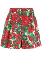 Dolce & Gabbana Brocade Floral Shorts - Red