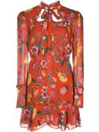 Alexis Morgana Floral-print Mini Dress - Red