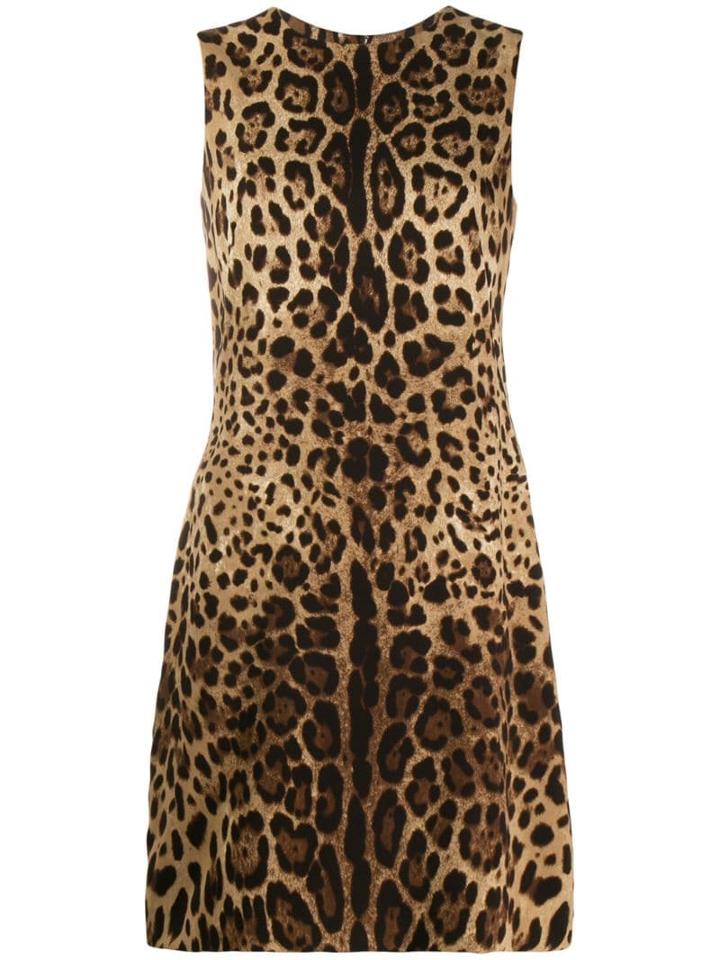 Dolce & Gabbana Leopard Pattern Shift Dress - Brown
