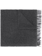 A.p.c. Fringed Knitted Scarf - Grey