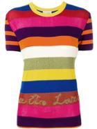 Etro Striped Knitted Top - Pink