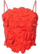 Josie Natori Floral-appliquéd Cropped Top - Red