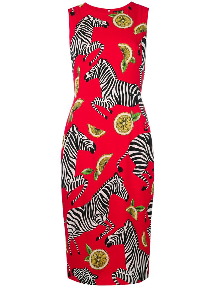 Dolce & Gabbana Print Fitted Midi Dress - Red