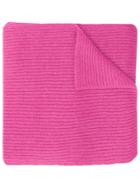 Rochas Knitted Scarf - Pink