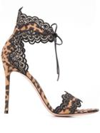 Gianvito Rossi Lace Trim Leopard Sandals - Black
