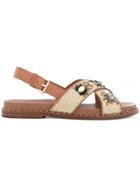 Ash Soft Brasil Sandals - Brown
