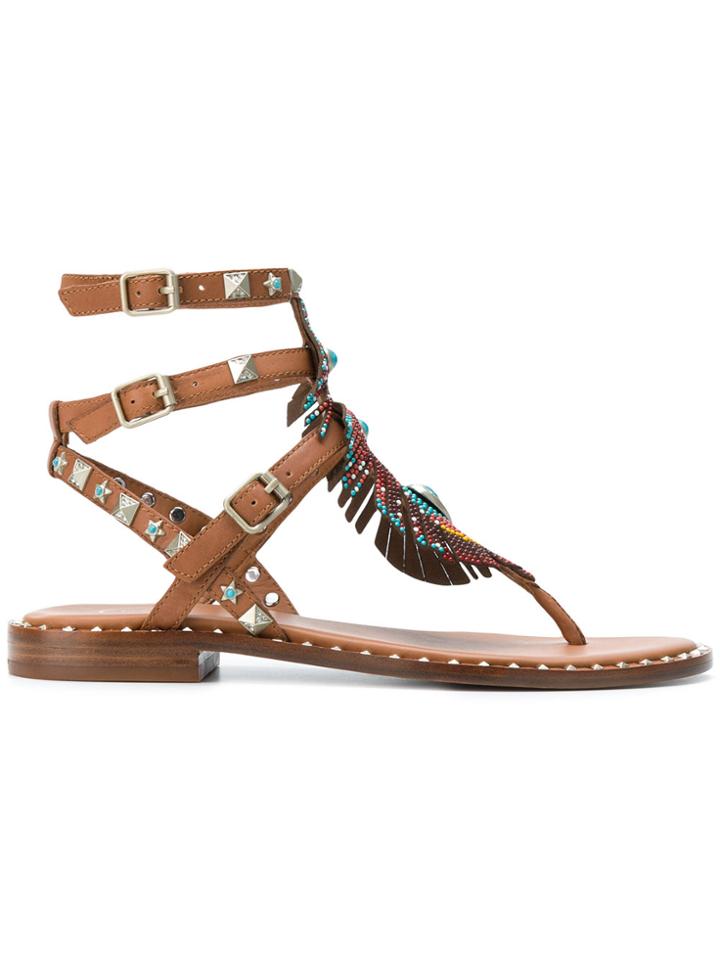 Ash Pandora Sandals - Brown