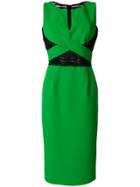 Capucci V-neck Fitted Dress - Green