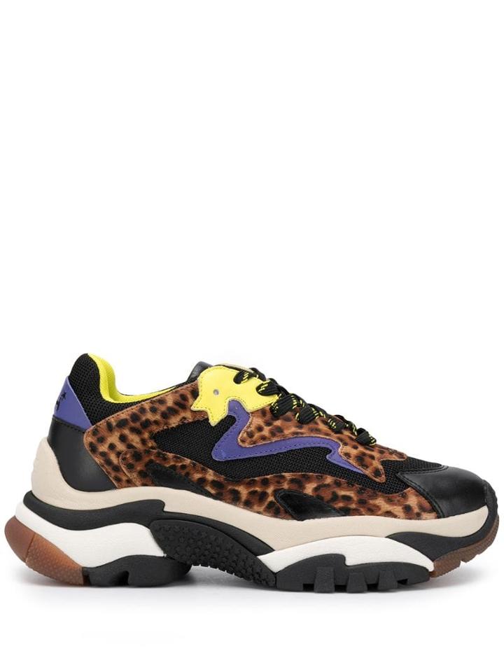 Ash Ash F19addict05 Blk Artificial->artificial Leather - Black