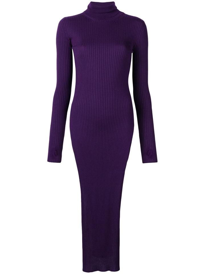 Erika Cavallini Rib Knit Turtleneck Maxi Dress - Purple