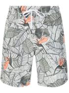 Onia Onia Ms0876 Birds Of Paradise Palm Synthetic->polyester - White