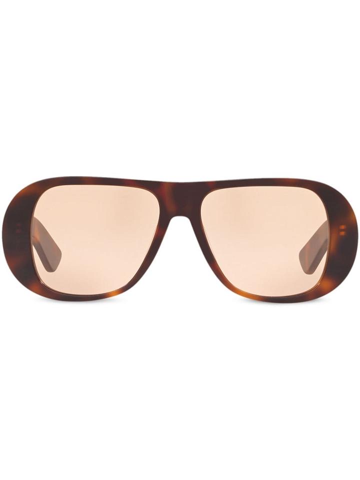 Alexa Chung X Sunglass Hut Curved Frames Sunglasses - Brown