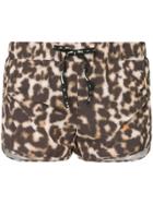 The Upside Leopard Print Shorts - Brown