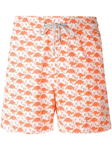 Love Brand Turtle Print Swim Shorts - Yellow