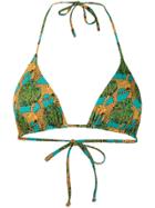 Reina Olga Jungle Fever Bikini Top - Green
