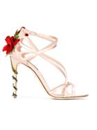 Dolce & Gabbana Climbing Rose Sandals - Pink & Purple