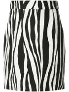 Ports 1961 Zebra Print Mini Skirt - Black