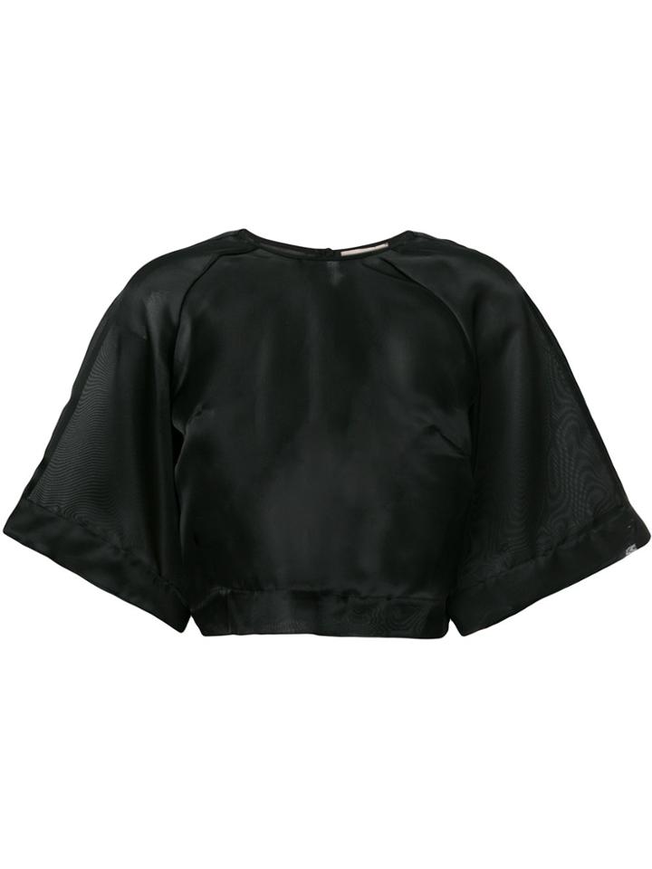 Murmur Sheer Cropped Blouse - Black
