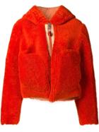 Diesel Hooded Shearling Coat - Yellow & Orange