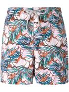 Mc2 Saint Barth Gustavia Swim Shorts - Multicolour