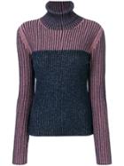 Sportmax Ribbed Lurex Turtleneck Sweater - Blue
