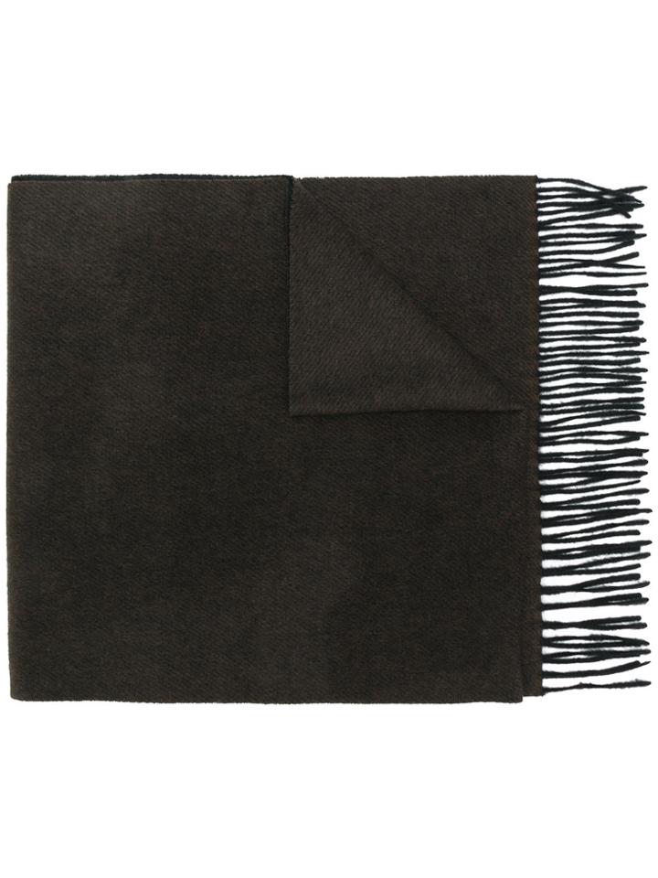 Lanvin Tassel-trimmed Cashmere Scarf - Brown
