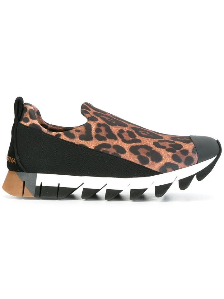Dolce & Gabbana Ibiza Sneakers - Brown