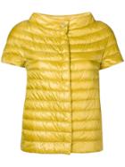 Herno Short-sleeved Padded Jacket - Yellow