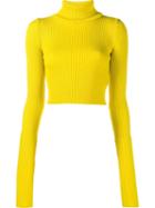 Jacquemus Ribbed Turtleneck Jumper, Women's, Size: 34, Yellow/orange, Wool