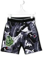 Dolce & Gabbana Kids Palm Patch Printed Shorts, Boy's, Size: 8 Yrs, Black
