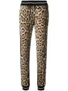 Roberto Cavalli Leopard Print Track Pants - Brown