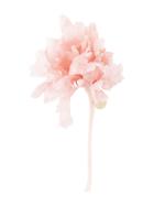 Ann Demeulemeester 3d Flower Brooch - Pink & Purple