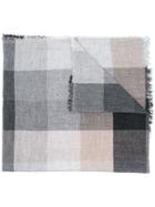 Faliero Sarti Marella Printed Scarf - Grey