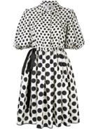 Dice Kayek Dotted Flared Dress - Black