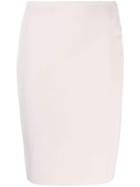 Lanvin Vintage 2011's Fitted Short Skirt - Neutrals