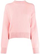 Laneus Crew-neck Knit Sweater - Pink