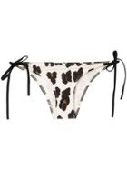 Solid & Striped Leopard-print Bikini Briefs - White